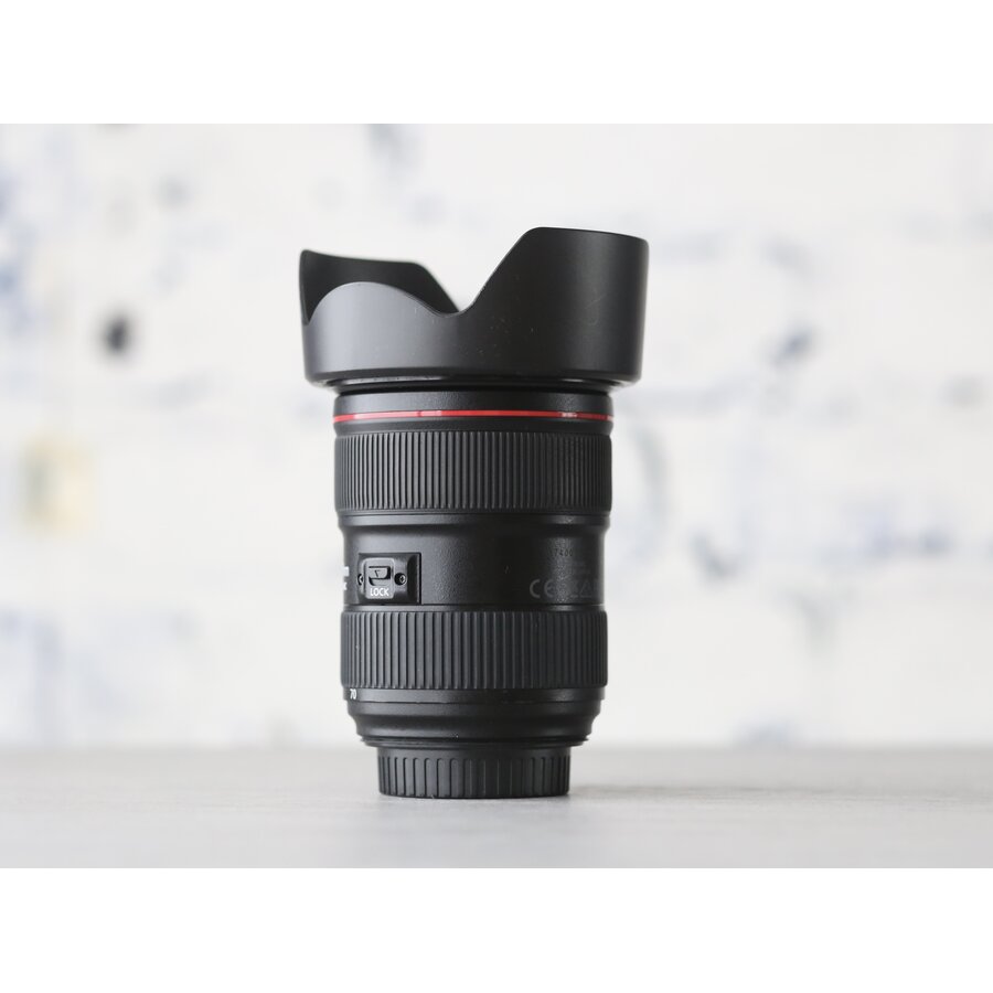 Canon EF 24-70mm f/2.8L II USM-2