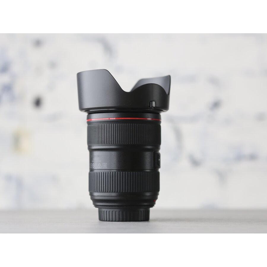 Canon EF 24-70mm f/2.8L II USM-3