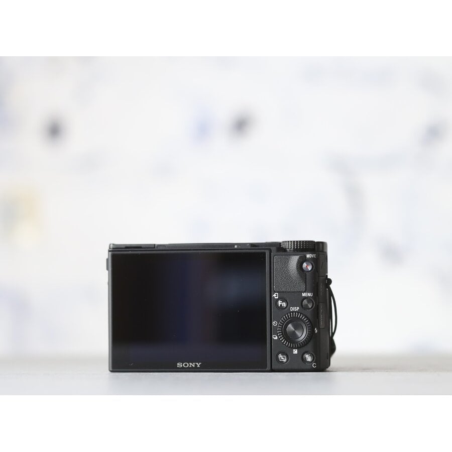 Sony Cybershot RX100 VII-2