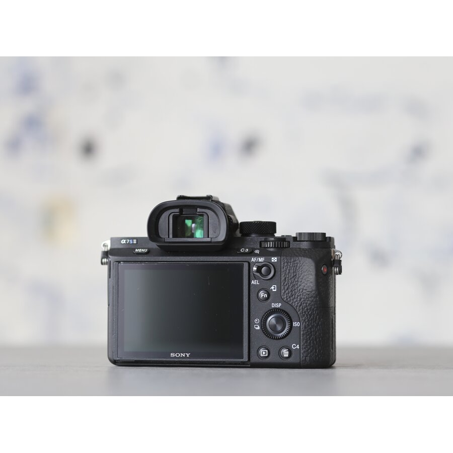 Sony A7S II-3