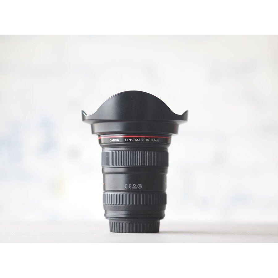 Canon EF 17-40mm f/4 L USM-2