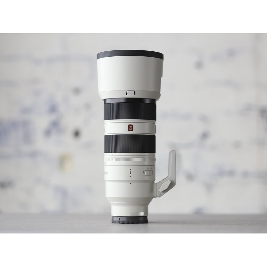 Sony FE 70-200mm f/2.8 GM OSS II-4