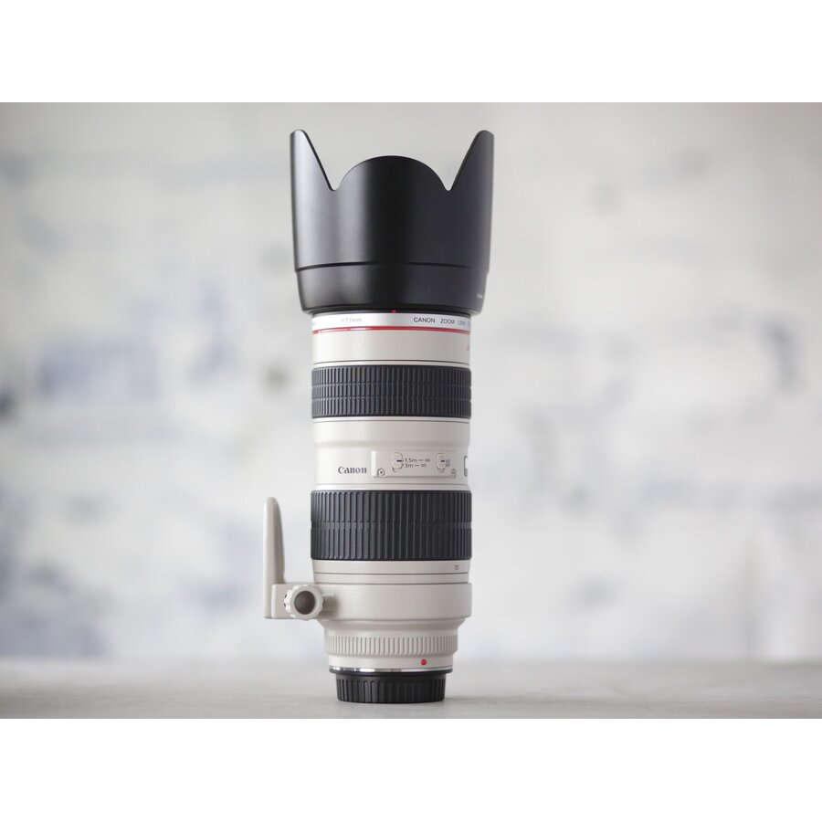 Canon EF 70-200mm f/2.8L USM-2