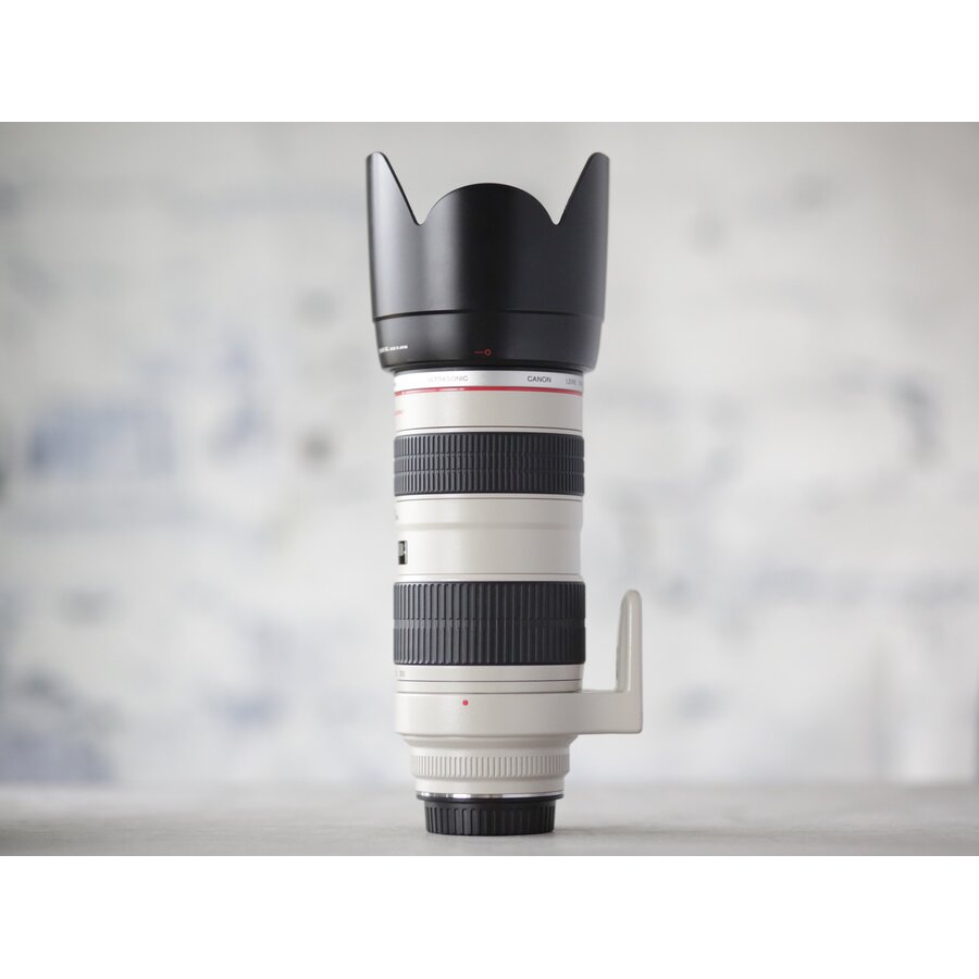 Canon EF 70-200mm f/2.8L USM-3