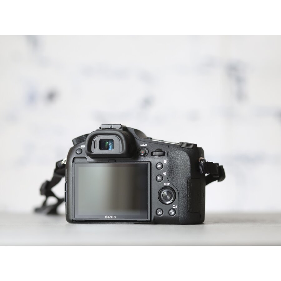 Sony RX10 mark III-4