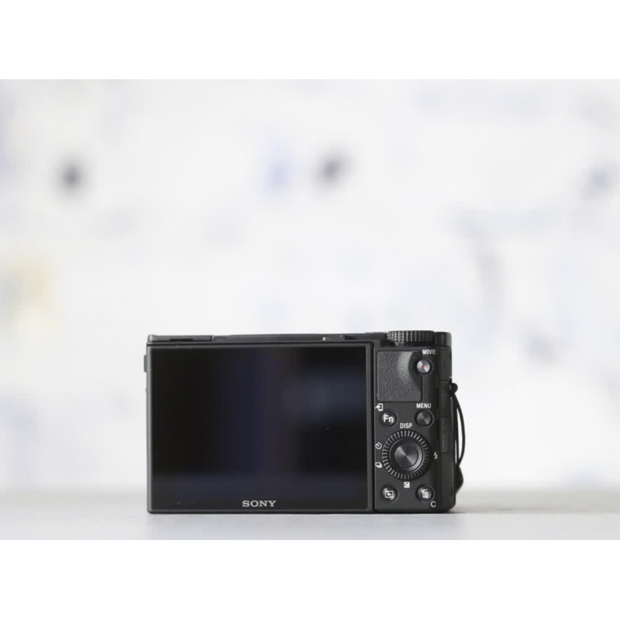 Sony Cybershot RX100 VII-2