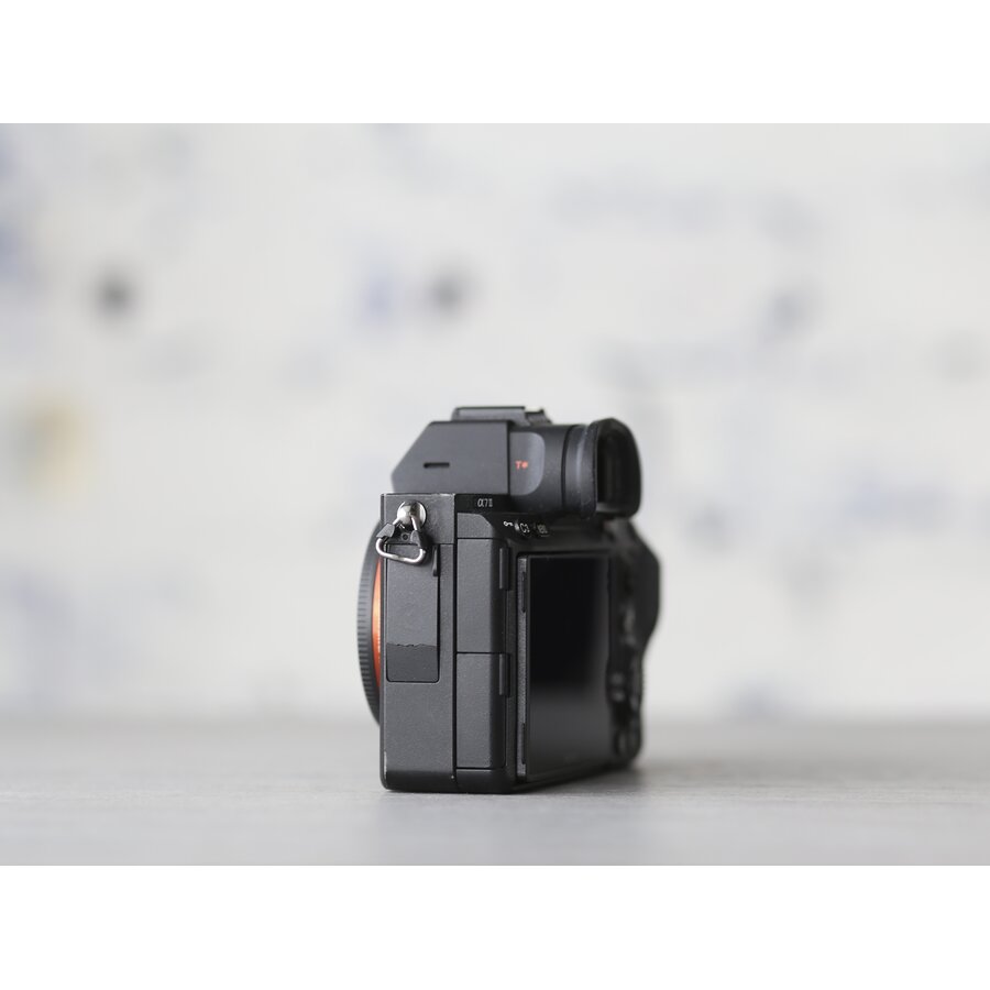 Sony A7 III-5