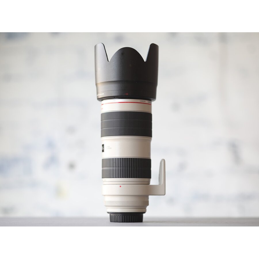 Canon EF 70-200mm f/2.8L IS II USM-4