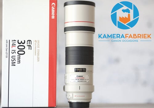 Canon EF 300mm f/4L IS USM 