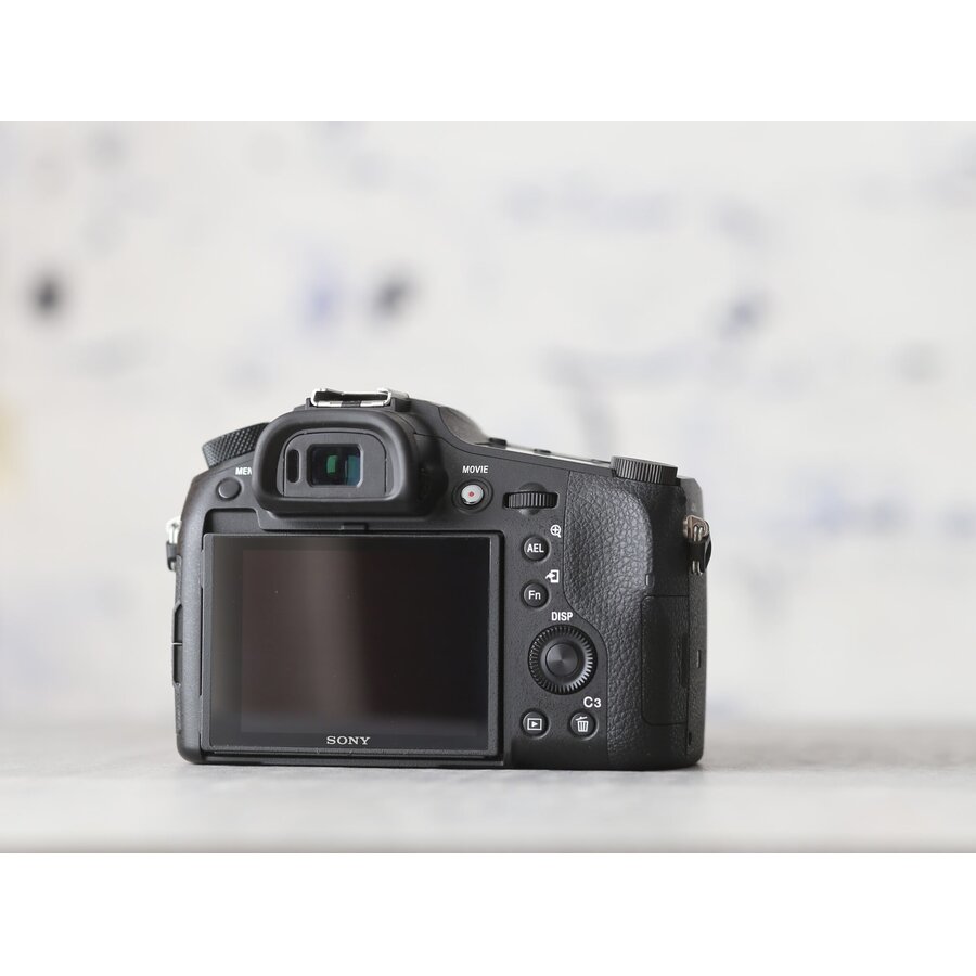 Sony RX10 mark IV-2