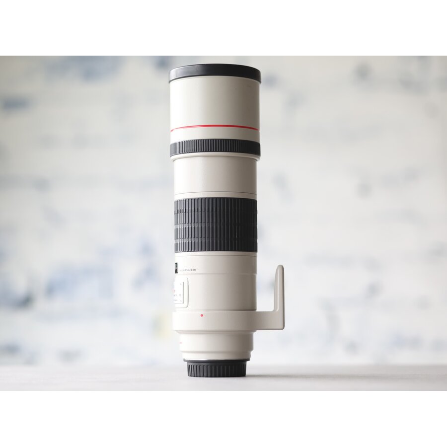 Canon EF 300mm f/4L IS USM-4