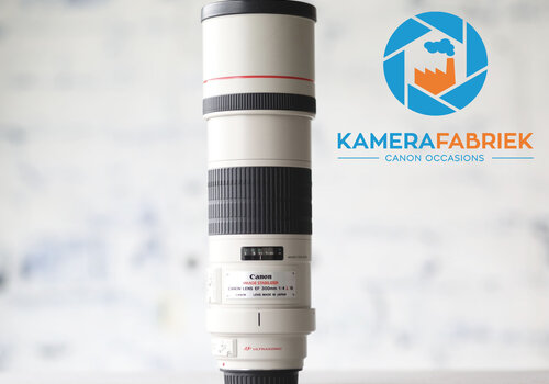 Canon EF 300mm f/4L IS USM 