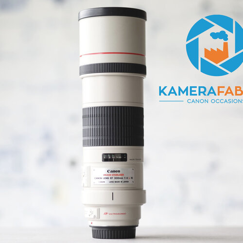 Canon EF 300mm f/4L IS USM 