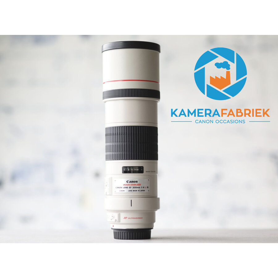 Canon EF 300mm f/4L IS USM-1
