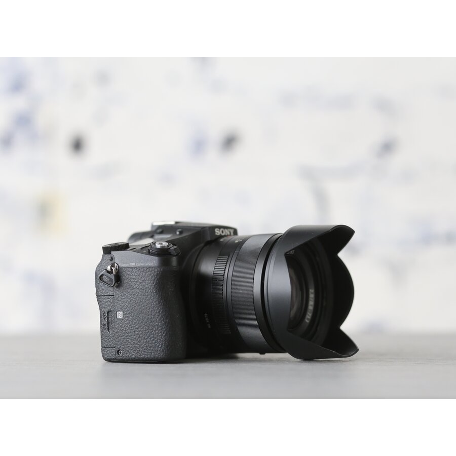 Sony RX10 mark II-4