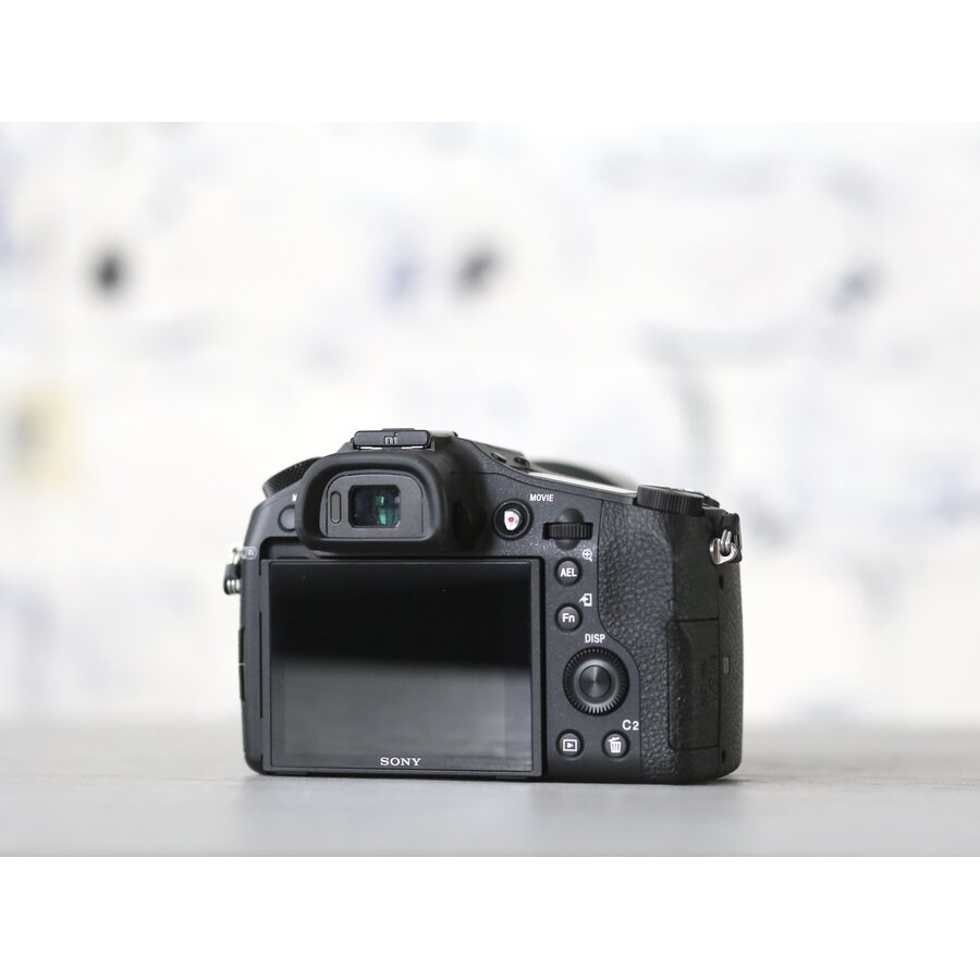 Sony RX10 mark II-2