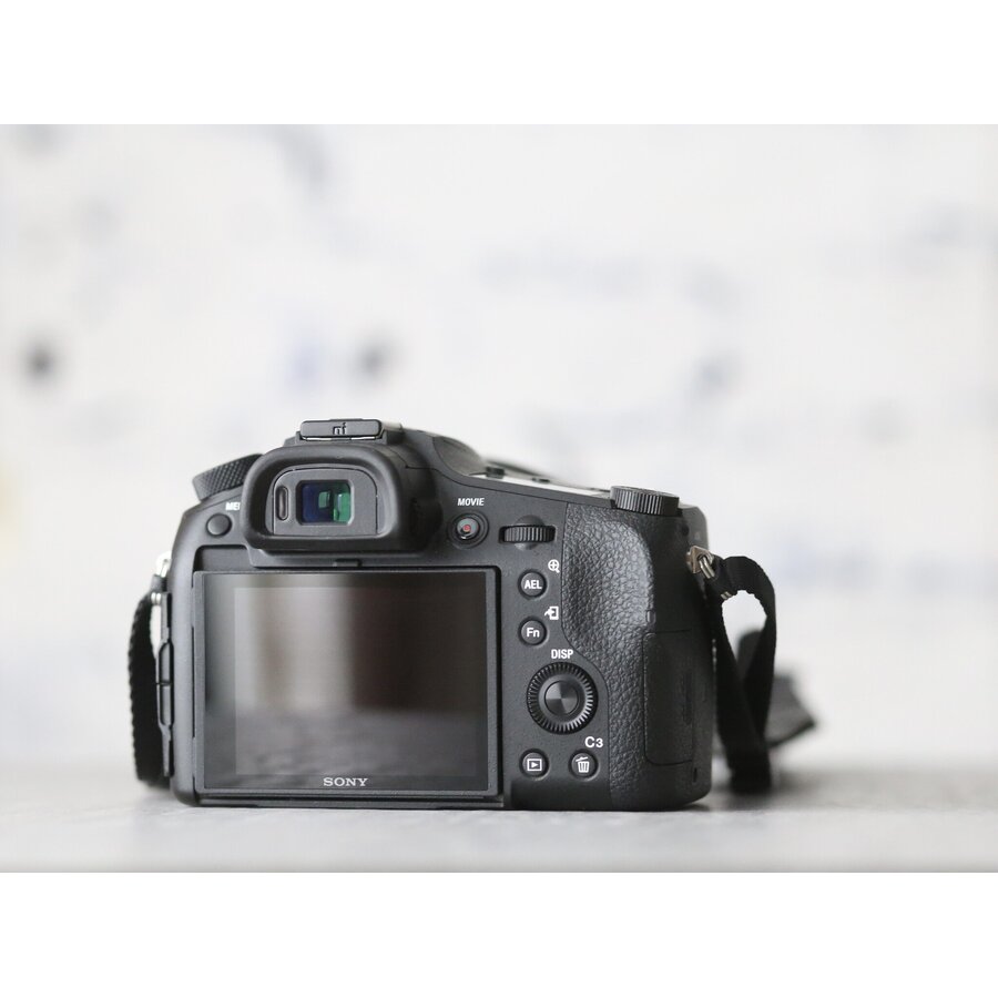 Sony RX10 mark IV-4