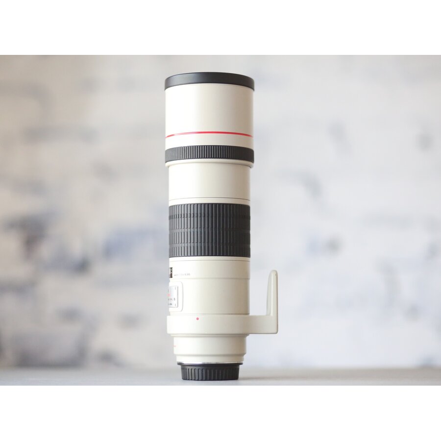 Canon EF 300mm f/4L IS USM-4