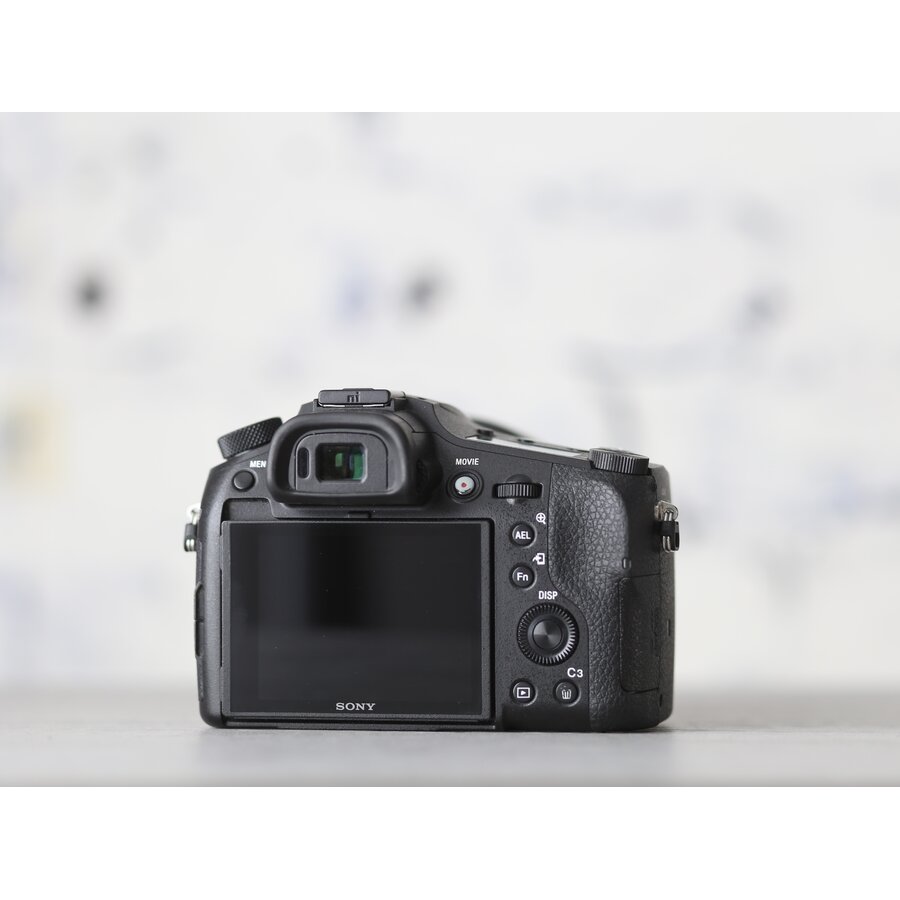 Sony RX10 mark IV-2