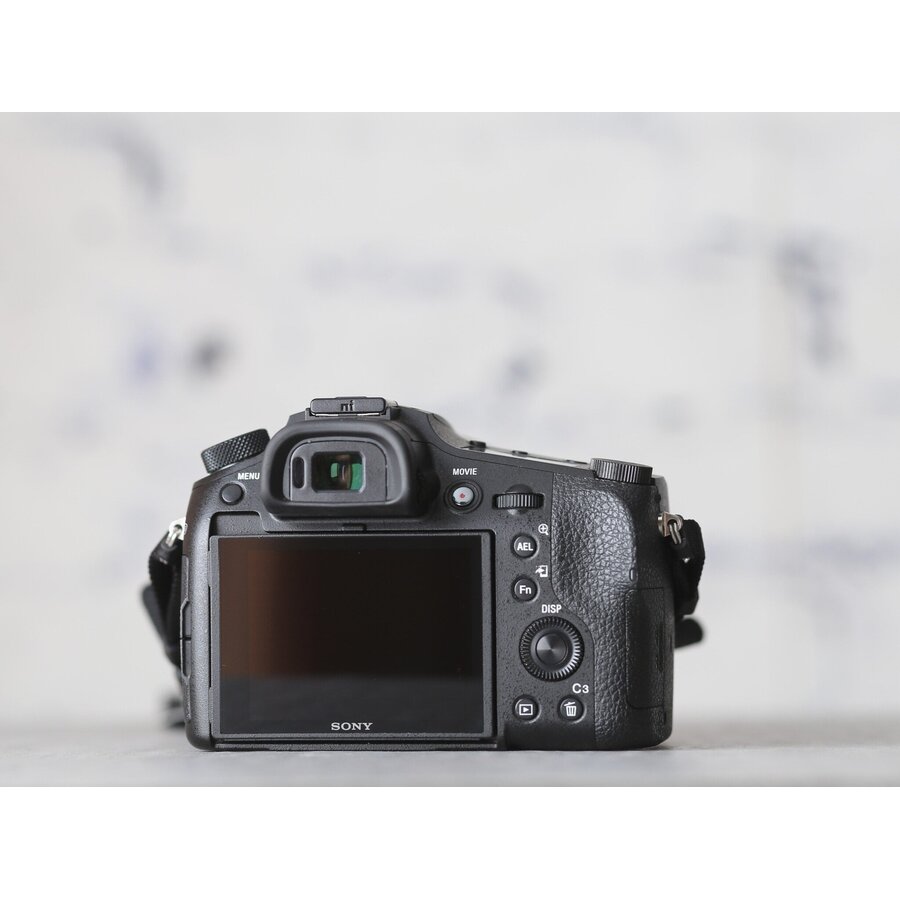 Sony RX10 mark IV-5
