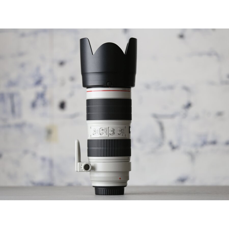 Canon EF 70-200mm f/2.8L IS III USM-2