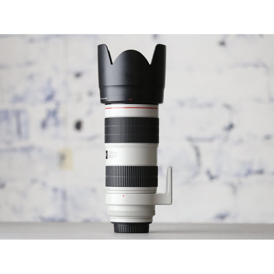 Canon EF 70-200mm f/2.8L IS III USM-3
