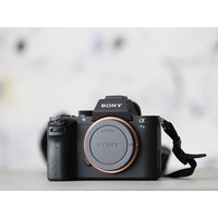 thumb-Sony A7 II-2