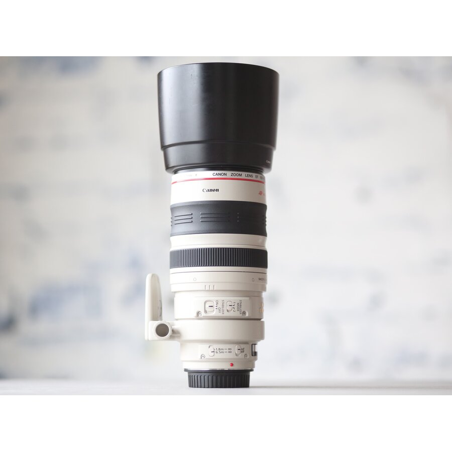 Canon EF 100-400mm f/4.5-5.6L IS USM-4