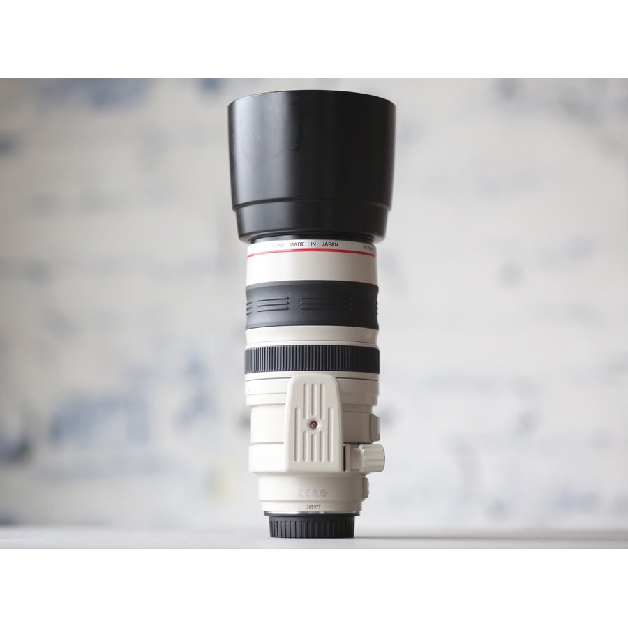 Canon EF 100-400mm f/4.5-5.6L IS USM-5