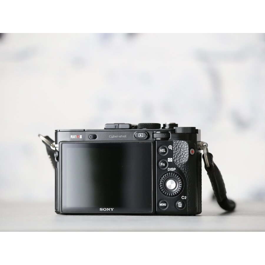 Sony RX1R II-4