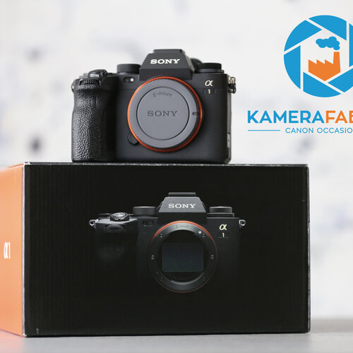Sony A1 