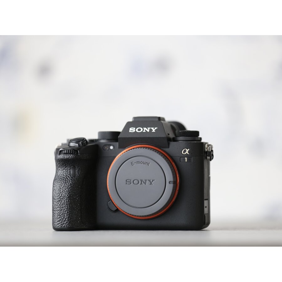 Sony A1-2