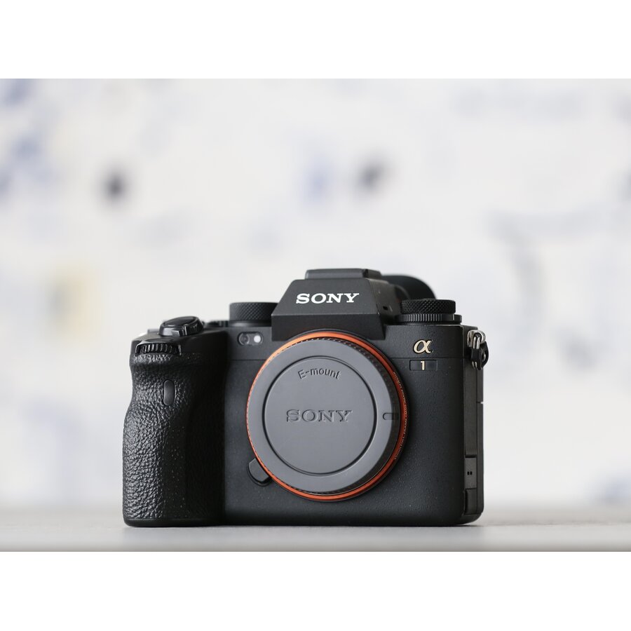 Sony A1-2