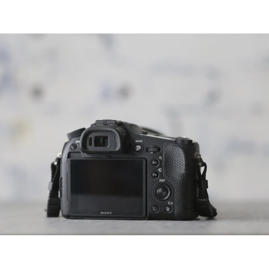Sony RX10 mark IV-4