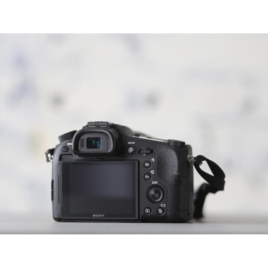 Sony RX10 mark IV-4