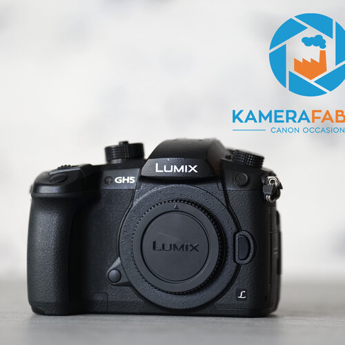 Panasonic Lumix GH5 