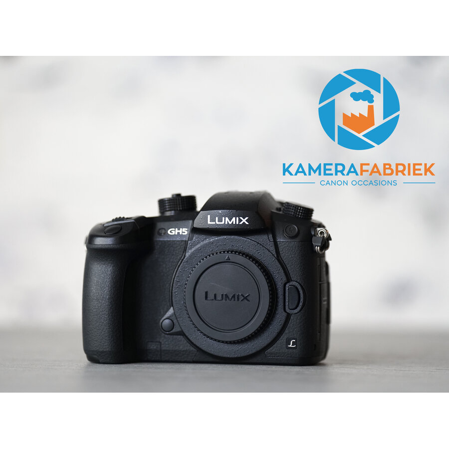 Panasonic Lumix GH5-1