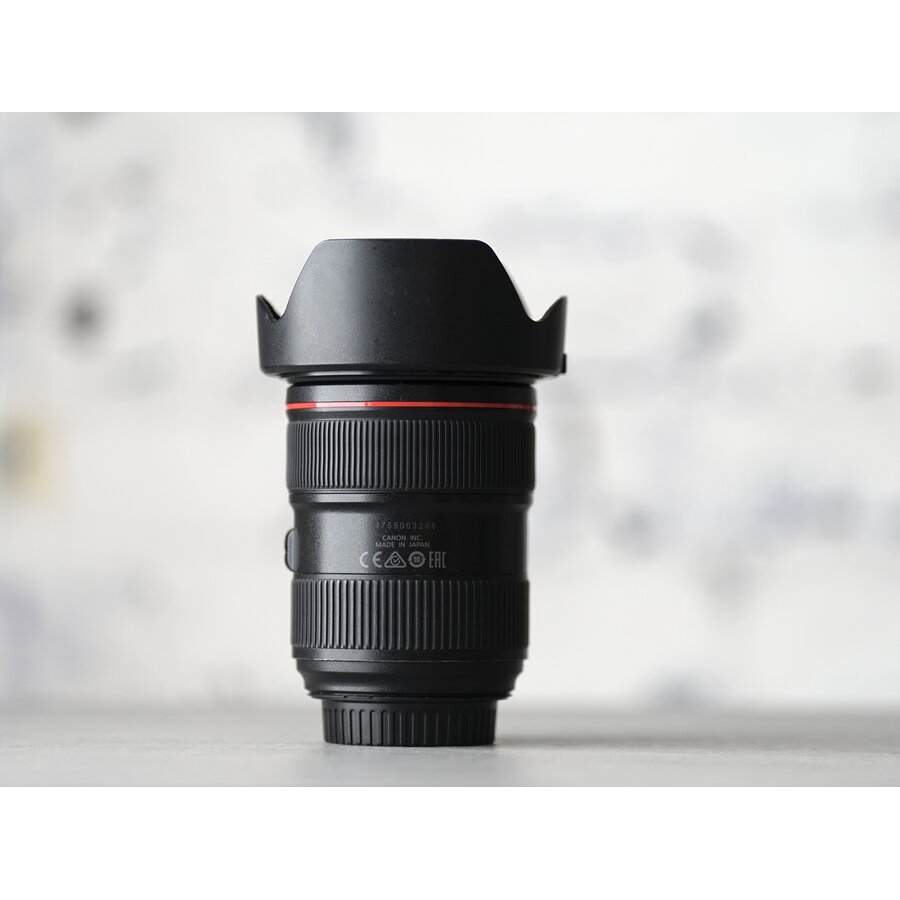 Canon EF 24-70mm f/2.8L II USM-2