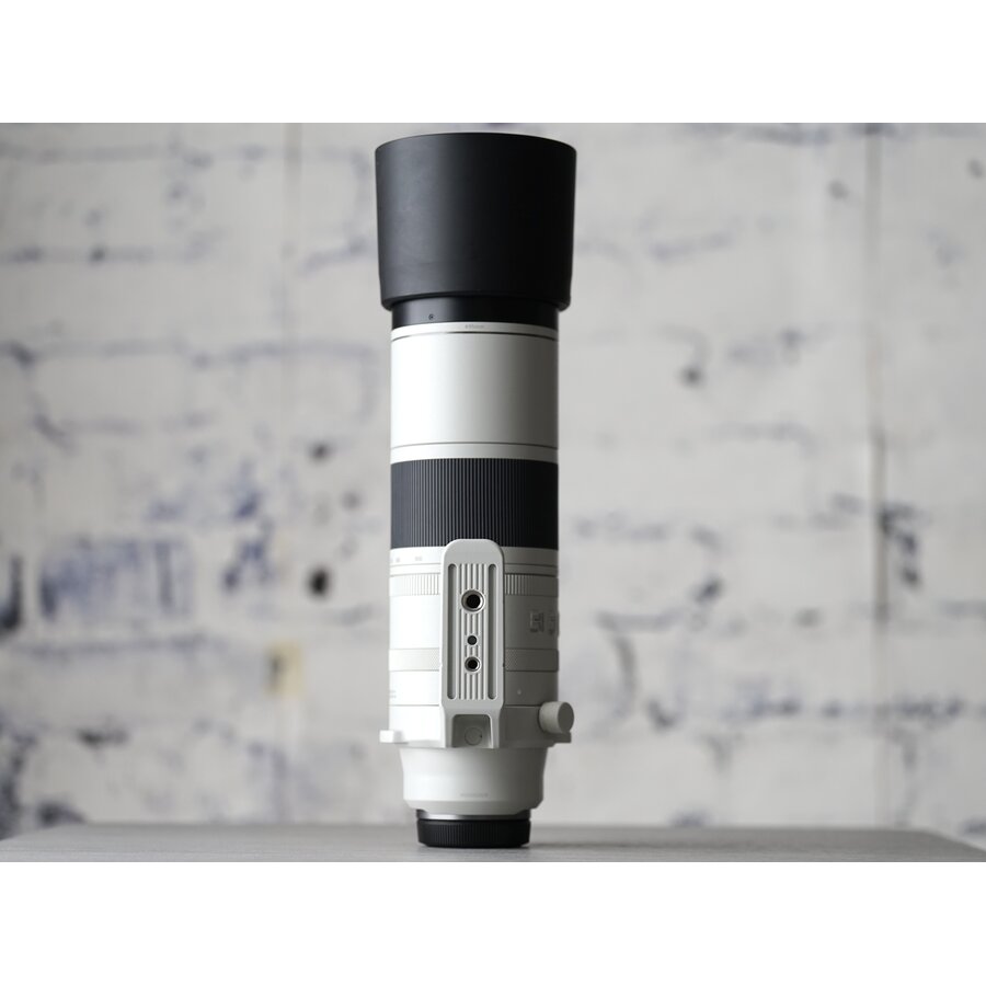 Canon RF 200-800mm f/6.3-9 IS USM-4