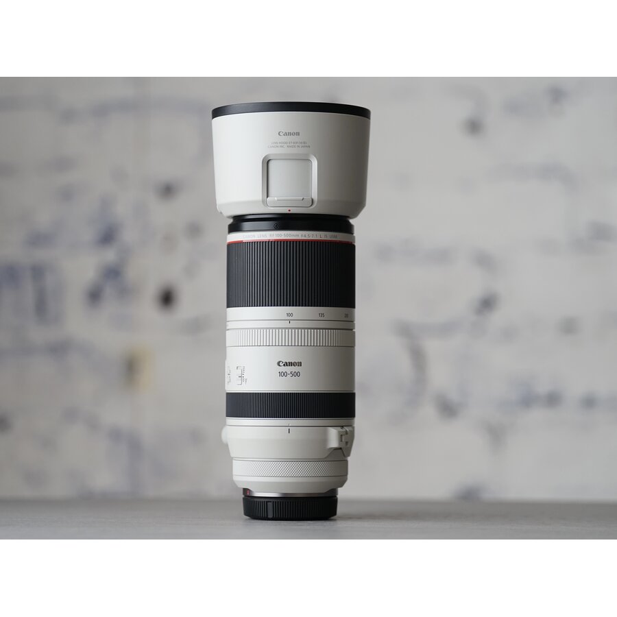 Canon RF 100-500mm F/4.5-7.1L IS USM-2