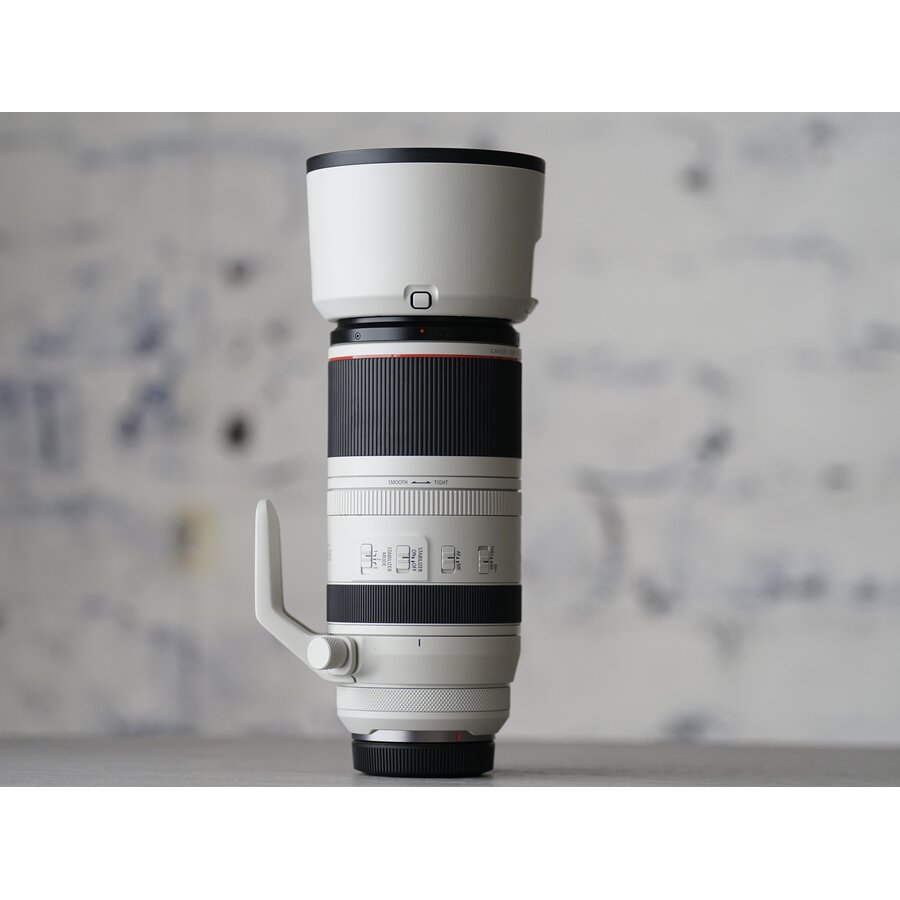 Canon RF 100-500mm F/4.5-7.1L IS USM-3