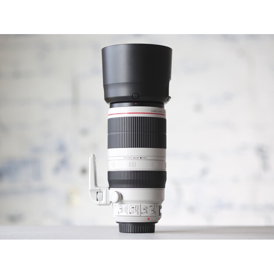 Canon EF 100-400mm f/4.5-5.6L IS II USM-3