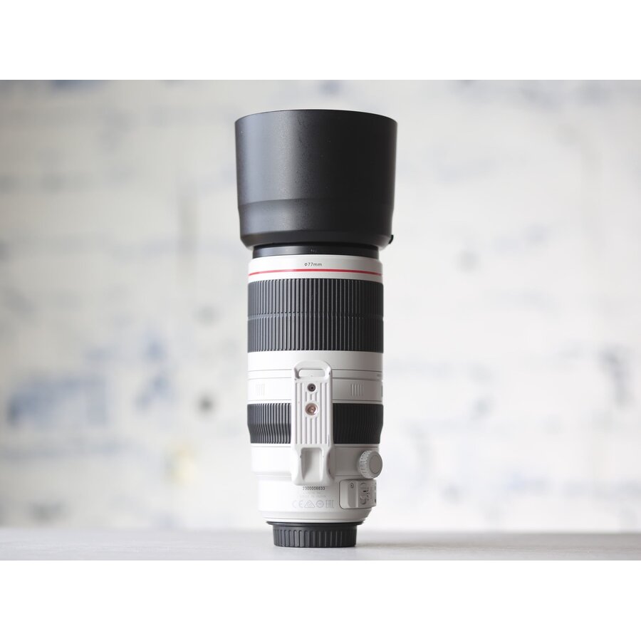 Canon EF 100-400mm f/4.5-5.6L IS II USM-5