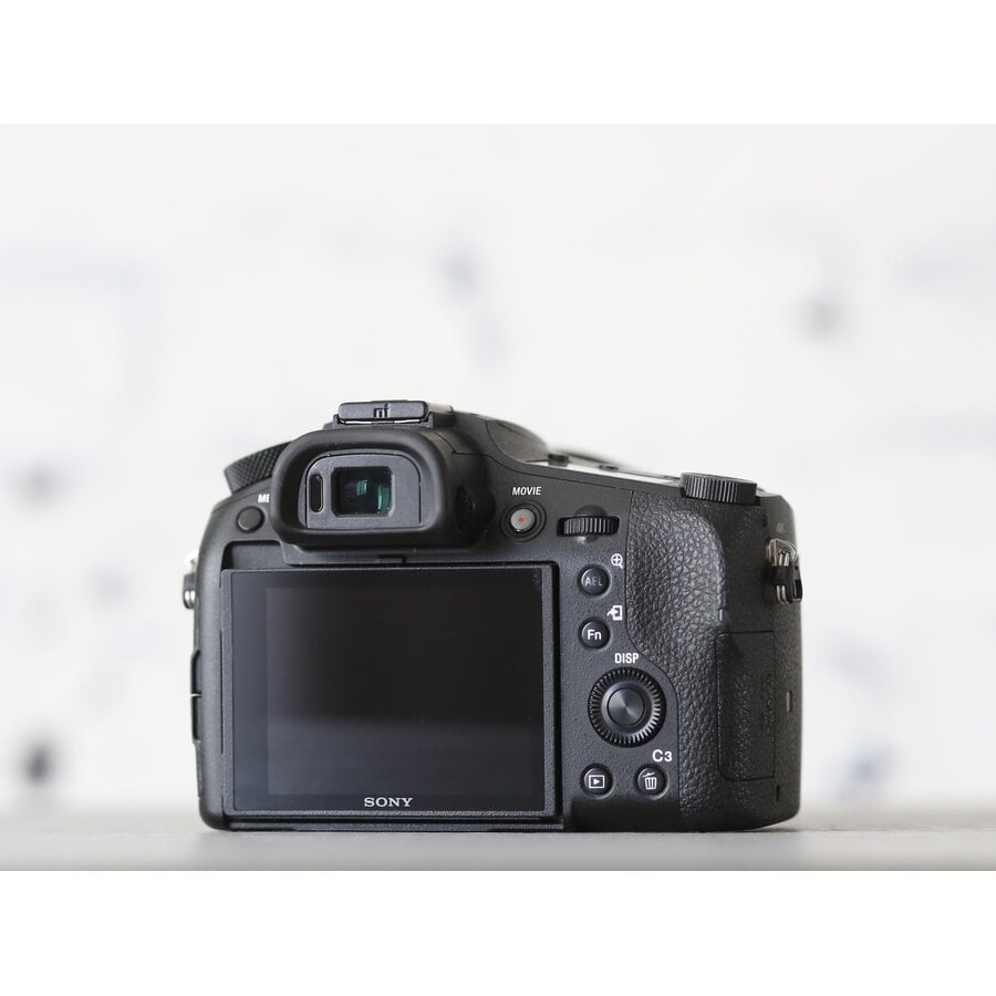 Sony RX10 mark III-4