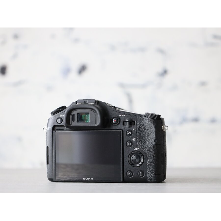 Sony RX10-4