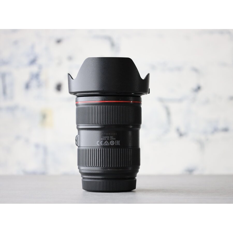 Canon EF 24-70mm f/2.8L II USM-2