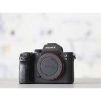 thumb-Sony A7 III-1