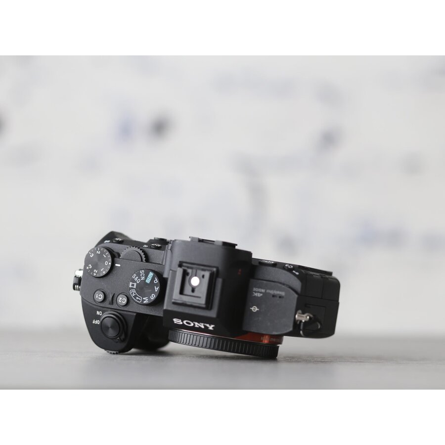 Sony A7 III-3