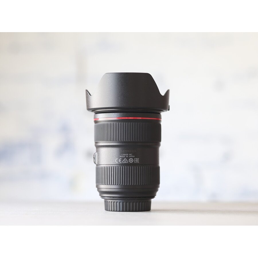 Canon EF 24-70mm f/2.8L II USM-2