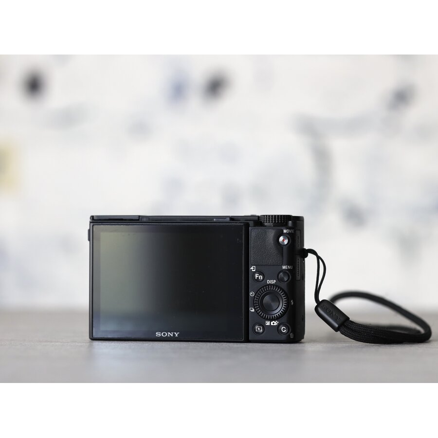Sony Cybershot RX100 IV-2